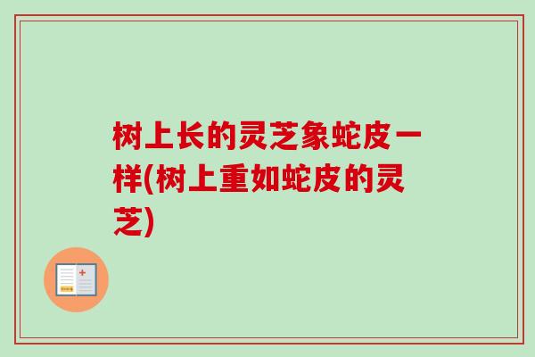 树上长的灵芝象蛇皮一样(树上重如蛇皮的灵芝)-第1张图片-卓越灵芝孢子粉 树上长的灵芝象蛇皮一样(树上重如蛇皮的灵芝)-第1张图片-卓越灵芝孢子粉