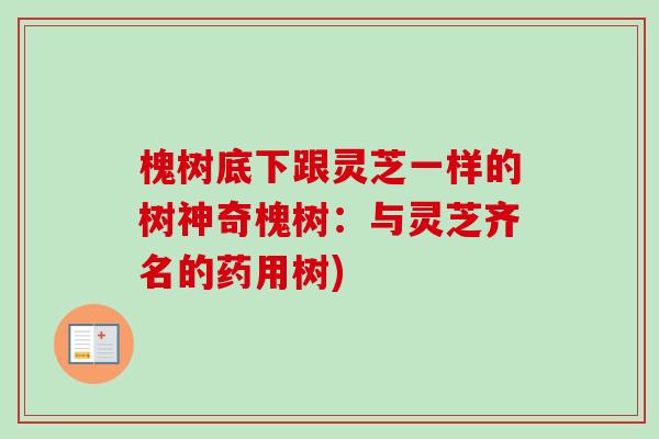 槐树底下跟灵芝一样的树神奇槐树:与灵芝齐名的药用树)-第1张图片-卓越灵芝孢子粉 槐树底下跟灵芝一样的树神奇槐树:与灵芝齐名的药用树)-第1张图片-卓越灵芝孢子粉