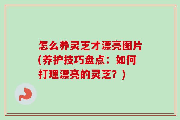 怎么养灵芝才漂亮图片(养护技巧盘点:如何打理漂亮的灵芝?)-第1张图片-卓越灵芝孢子粉 怎么养灵芝才漂亮图片(养护技巧盘点:如何打理漂亮的灵芝?)-第1张图片-卓越灵芝孢子粉