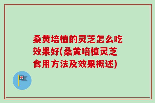桑黄培植的灵芝怎么吃效果好(桑黄培植灵芝食用方法及效果概述)-第1张图片-卓越灵芝孢子粉 桑黄培植的灵芝怎么吃效果好(桑黄培植灵芝食用方法及效果概述)-第1张图片-卓越灵芝孢子粉
