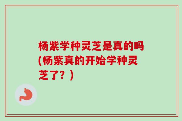 杨紫学种灵芝是真的吗(杨紫真的开始学种灵芝了?)-第1张图片-卓越灵芝孢子粉 杨紫学种灵芝是真的吗(杨紫真的开始学种灵芝了?)-第1张图片-卓越灵芝孢子粉