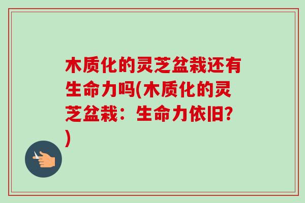 木质化的灵芝盆栽还有生命力吗(木质化的灵芝盆栽:生命力依旧?)-第1张图片-卓越灵芝孢子粉 木质化的灵芝盆栽还有生命力吗(木质化的灵芝盆栽:生命力依旧?)-第1张图片-卓越灵芝孢子粉