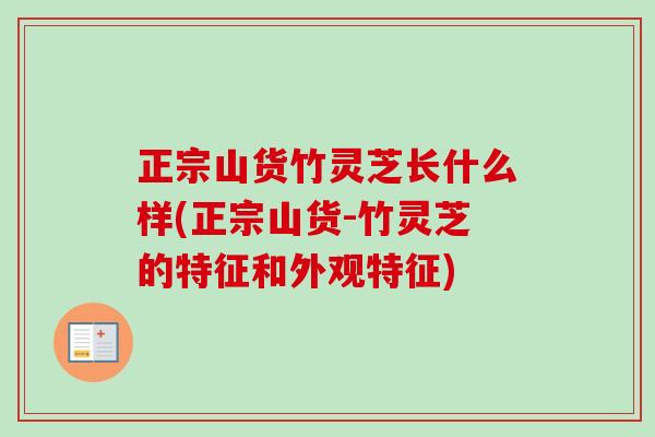 正宗山货竹灵芝长什么样(正宗山货-竹灵芝的特征和外观特征)-第1张图片-卓越灵芝孢子粉 正宗山货竹灵芝长什么样(正宗山货-竹灵芝的特征和外观特征)-第1张图片-卓越灵芝孢子粉