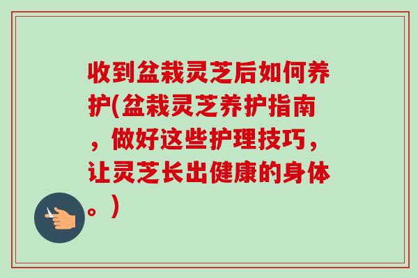 收到盆栽灵芝后如何养护(盆栽灵芝养护指南,做好这些护理技巧,让灵芝长出健康的身体。)-第1张图片-卓越灵芝孢子粉 收到盆栽灵芝后如何养护(盆栽灵芝养护指南,做好这些护理技巧,让灵芝长出健康的身体。)-第1张图片-卓越灵芝孢子粉