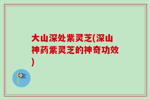 大山深处紫灵芝(深山神药紫灵芝的神奇功效)-第1张图片-卓越灵芝孢子粉