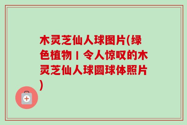 木灵芝仙人球图片(绿色植物丨令人惊叹的木灵芝仙人球圆球体照片)-第1张图片-卓越灵芝孢子粉 木灵芝仙人球图片(绿色植物丨令人惊叹的木灵芝仙人球圆球体照片)-第1张图片-卓越灵芝孢子粉