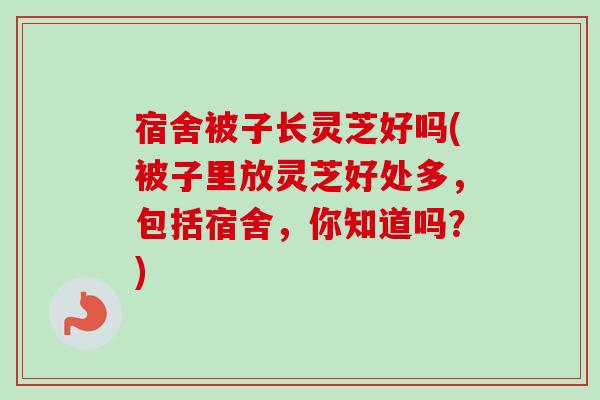宿舍被子长灵芝好吗(被子里放灵芝好处多,包括宿舍,你知道吗?)-第1张图片-卓越灵芝孢子粉 宿舍被子长灵芝好吗(被子里放灵芝好处多,包括宿舍,你知道吗?)-第1张图片-卓越灵芝孢子粉