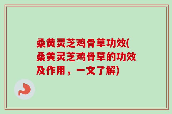 桑黄灵芝鸡骨草功效(桑黄灵芝鸡骨草的功效及作用,一文了解)-第1张图片-卓越灵芝孢子粉 桑黄灵芝鸡骨草功效(桑黄灵芝鸡骨草的功效及作用,一文了解)-第1张图片-卓越灵芝孢子粉