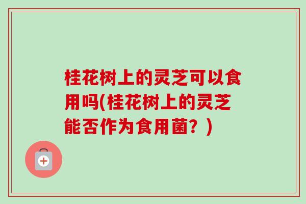 桂花树上的灵芝可以食用吗(桂花树上的灵芝能否作为食用菌?)-第1张图片-卓越灵芝孢子粉 桂花树上的灵芝可以食用吗(桂花树上的灵芝能否作为食用菌?)-第1张图片-卓越灵芝孢子粉