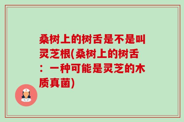 桑树上的树舌是不是叫灵芝根(桑树上的树舌:一种可能是灵芝的木质真菌)-第1张图片-卓越灵芝孢子粉 桑树上的树舌是不是叫灵芝根(桑树上的树舌:一种可能是灵芝的木质真菌)-第1张图片-卓越灵芝孢子粉