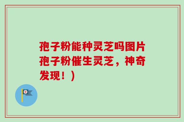 孢子粉能种灵芝吗图片孢子粉催生灵芝,神奇发现!)-第1张图片-卓越灵芝孢子粉 孢子粉能种灵芝吗图片孢子粉催生灵芝,神奇发现!)-第1张图片-卓越灵芝孢子粉