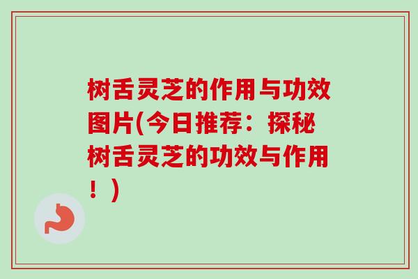 树舌灵芝的作用与功效图片(今日推荐：探秘树舌灵芝的功效与作用！)-第1张图片-卓越灵芝孢子粉