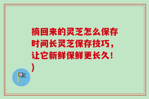 摘回来的灵芝怎么保存时间长灵芝保存技巧,让它新鲜保鲜更长久!)-第1张图片-卓越灵芝孢子粉 摘回来的灵芝怎么保存时间长灵芝保存技巧,让它新鲜保鲜更长久!)-第1张图片-卓越灵芝孢子粉