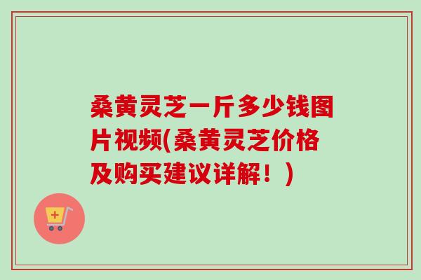 桑黄灵芝一斤多少钱图片视频(桑黄灵芝价格及购买建议详解！)-第1张图片-卓越灵芝孢子粉