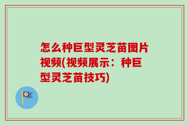 怎么种巨型灵芝苗图片视频(视频展示:种巨型灵芝苗技巧)-第1张图片-卓越灵芝孢子粉 怎么种巨型灵芝苗图片视频(视频展示:种巨型灵芝苗技巧)-第1张图片-卓越灵芝孢子粉