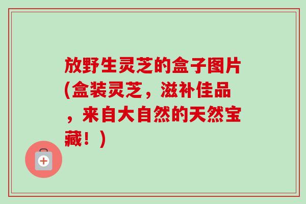 放野生灵芝的盒子图片(盒装灵芝,滋补佳品,来自大自然的天然宝藏!)-第1张图片-卓越灵芝孢子粉 放野生灵芝的盒子图片(盒装灵芝,滋补佳品,来自大自然的天然宝藏!)-第1张图片-卓越灵芝孢子粉