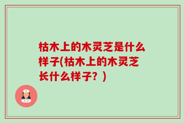 枯木上的木灵芝是什么样子(枯木上的木灵芝长什么样子?)-第1张图片-卓越灵芝孢子粉 枯木上的木灵芝是什么样子(枯木上的木灵芝长什么样子?)-第1张图片-卓越灵芝孢子粉