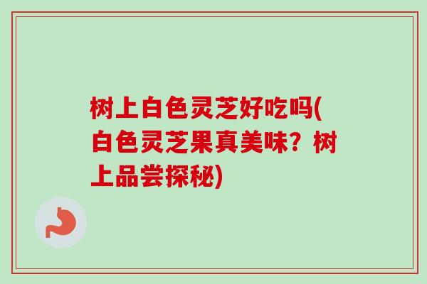 树上白色灵芝好吃吗(白色灵芝果真美味?树上品尝探秘)-第1张图片-卓越灵芝孢子粉 树上白色灵芝好吃吗(白色灵芝果真美味?树上品尝探秘)-第1张图片-卓越灵芝孢子粉