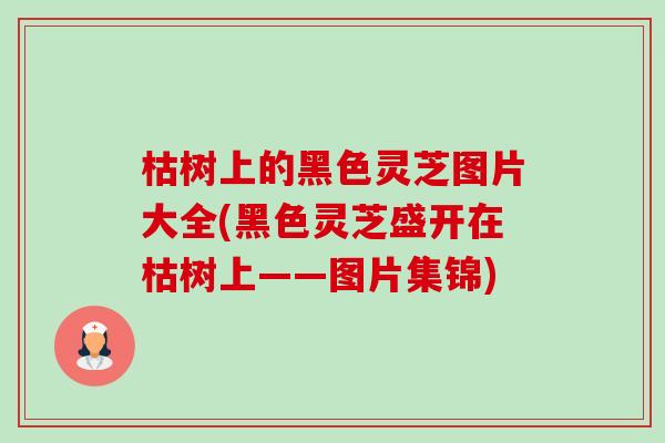 枯树上的黑色灵芝图片大全(黑色灵芝盛开在枯树上——图片集锦)-第1张图片-卓越灵芝孢子粉 枯树上的黑色灵芝图片大全(黑色灵芝盛开在枯树上——图片集锦)-第1张图片-卓越灵芝孢子粉