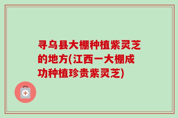 寻乌县大棚种植紫灵芝的地方(江西一大棚成功种植珍贵紫灵芝)-第1张图片-卓越灵芝孢子粉 寻乌县大棚种植紫灵芝的地方(江西一大棚成功种植珍贵紫灵芝)-第1张图片-卓越灵芝孢子粉