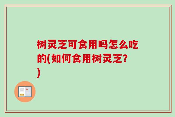 树灵芝可食用吗怎么吃的(如何食用树灵芝？)-第1张图片-卓越灵芝孢子粉