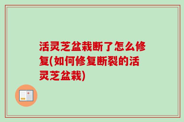 活灵芝盆栽断了怎么修复(如何修复断裂的活灵芝盆栽)-第1张图片-卓越灵芝孢子粉 活灵芝盆栽断了怎么修复(如何修复断裂的活灵芝盆栽)-第1张图片-卓越灵芝孢子粉