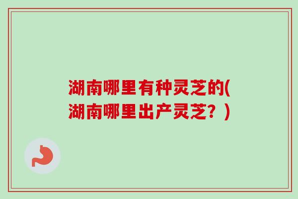 湖南哪里有种灵芝的(湖南哪里出产灵芝？)-第1张图片-卓越灵芝孢子粉