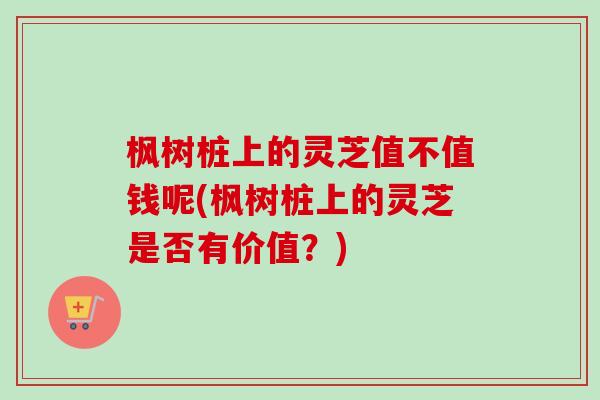枫树桩上的灵芝值不值钱呢(枫树桩上的灵芝是否有价值？)-第1张图片-卓越灵芝孢子粉