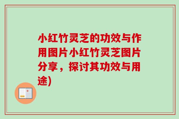 小红竹灵芝的功效与作用图片小红竹灵芝图片分享,探讨其功效与用途)-第1张图片-卓越灵芝孢子粉 小红竹灵芝的功效与作用图片小红竹灵芝图片分享,探讨其功效与用途)-第1张图片-卓越灵芝孢子粉
