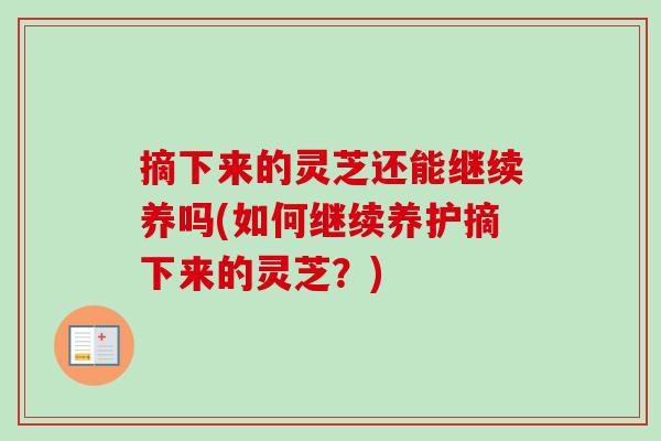 摘下来的灵芝还能继续养吗(如何继续养护摘下来的灵芝?)-第1张图片-卓越灵芝孢子粉 摘下来的灵芝还能继续养吗(如何继续养护摘下来的灵芝?)-第1张图片-卓越灵芝孢子粉