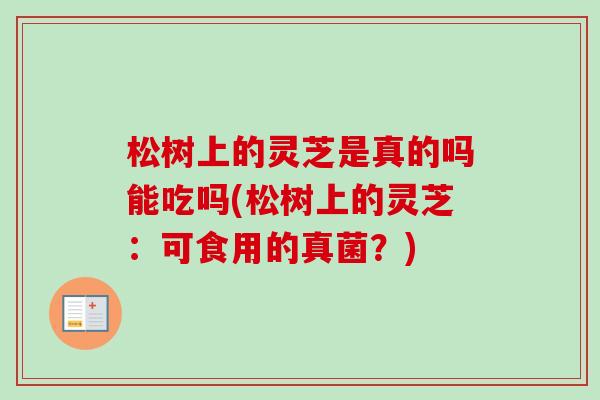 松树上的灵芝是真的吗能吃吗(松树上的灵芝：可食用的真菌？)-第1张图片-卓越灵芝孢子粉