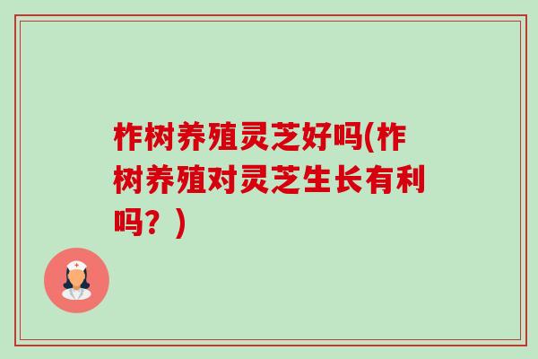 柞树养殖灵芝好吗(柞树养殖对灵芝生长有利吗?)-第1张图片-卓越灵芝孢子粉 柞树养殖灵芝好吗(柞树养殖对灵芝生长有利吗?)-第1张图片-卓越灵芝孢子粉