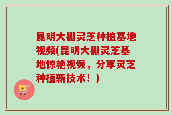 昆明大棚灵芝种植基地视频(昆明大棚灵芝基地惊艳视频,分享灵芝种植新技术!)-第1张图片-卓越灵芝孢子粉 昆明大棚灵芝种植基地视频(昆明大棚灵芝基地惊艳视频,分享灵芝种植新技术!)-第1张图片-卓越灵芝孢子粉