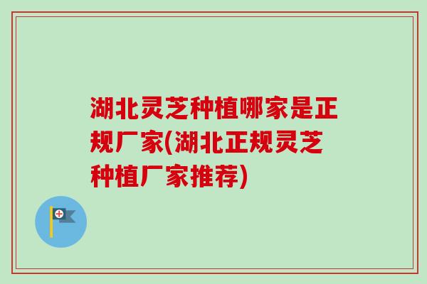 湖北灵芝种植哪家是正规厂家(湖北正规灵芝种植厂家推荐)-第1张图片-卓越灵芝孢子粉