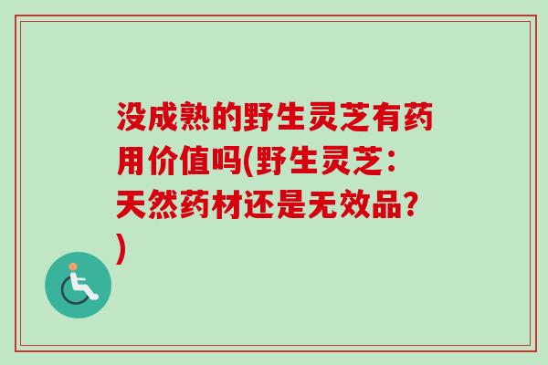 没成熟的野生灵芝有药用价值吗(野生灵芝:天然药材还是无效品?)-第1张图片-卓越灵芝孢子粉 没成熟的野生灵芝有药用价值吗(野生灵芝:天然药材还是无效品?)-第1张图片-卓越灵芝孢子粉