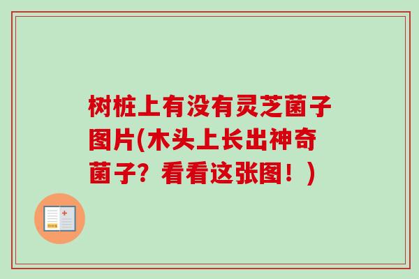 树桩上有没有灵芝菌子图片(木头上长出神奇菌子?看看这张图!)-第1张图片-卓越灵芝孢子粉 树桩上有没有灵芝菌子图片(木头上长出神奇菌子?看看这张图!)-第1张图片-卓越灵芝孢子粉