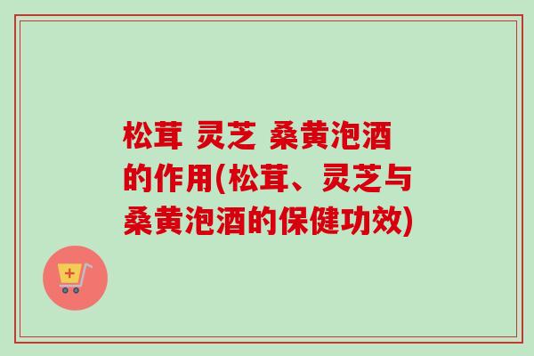 松茸 灵芝 桑黄泡酒的作用(松茸、灵芝与桑黄泡酒的保健功效)-第1张图片-卓越灵芝孢子粉 松茸 灵芝 桑黄泡酒的作用(松茸、灵芝与桑黄泡酒的保健功效)-第1张图片-卓越灵芝孢子粉