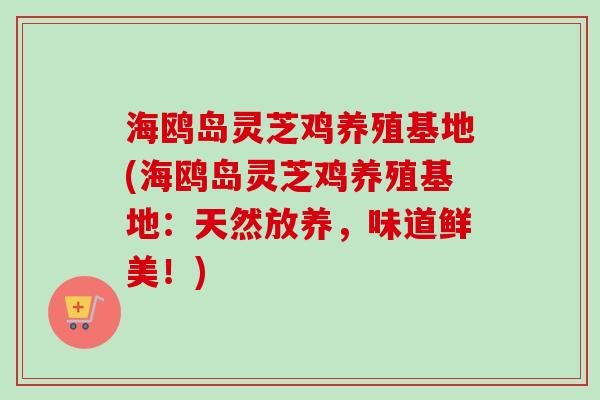 海鸥岛灵芝鸡养殖基地(海鸥岛灵芝鸡养殖基地：天然放养，味道鲜美！)-第1张图片-卓越灵芝孢子粉