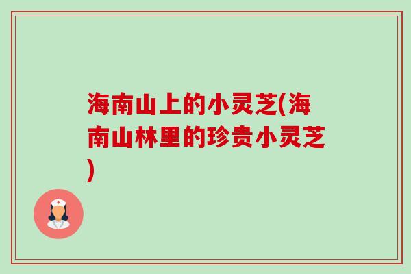 海南山上的小灵芝(海南山林里的珍贵小灵芝)-第1张图片-卓越灵芝孢子粉 海南山上的小灵芝(海南山林里的珍贵小灵芝)-第1张图片-卓越灵芝孢子粉