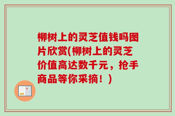 柳树上的灵芝值钱吗图片欣赏(柳树上的灵芝价值高达数千元,抢手商品等你采摘!)-第1张图片-卓越灵芝孢子粉 柳树上的灵芝值钱吗图片欣赏(柳树上的灵芝价值高达数千元,抢手商品等你采摘!)-第1张图片-卓越灵芝孢子粉