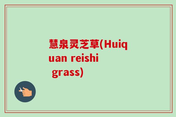 慧泉灵芝草(Huiquan reishi grass)-第1张图片-卓越灵芝孢子粉 慧泉灵芝草(Huiquan reishi grass)-第1张图片-卓越灵芝孢子粉