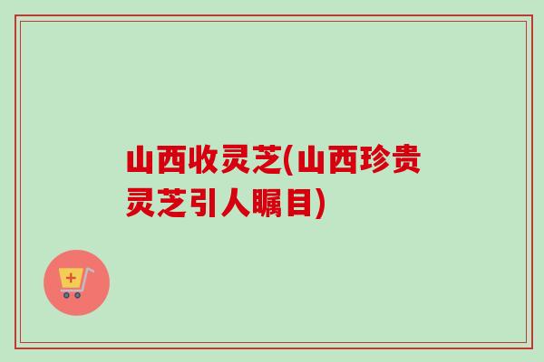 山西收灵芝(山西珍贵灵芝引人瞩目)-第1张图片-卓越灵芝孢子粉