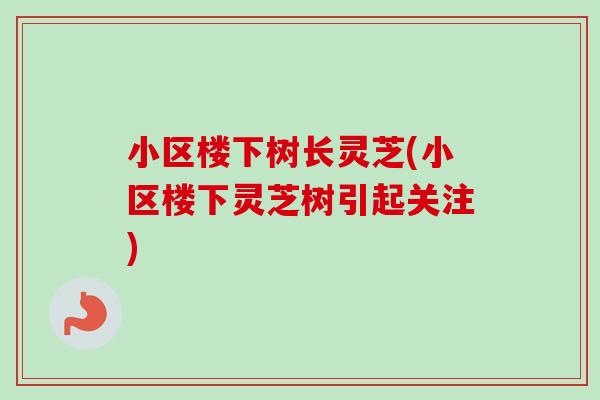 小区楼下树长灵芝(小区楼下灵芝树引起关注)-第1张图片-卓越灵芝孢子粉 小区楼下树长灵芝(小区楼下灵芝树引起关注)-第1张图片-卓越灵芝孢子粉