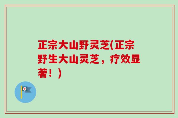 正宗大山野灵芝(正宗野生大山灵芝，疗效显著！)-第1张图片-卓越灵芝孢子粉