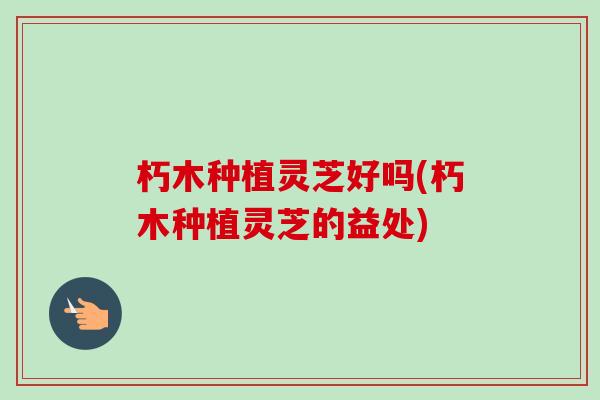 朽木种植灵芝好吗(朽木种植灵芝的益处)-第1张图片-卓越灵芝孢子粉