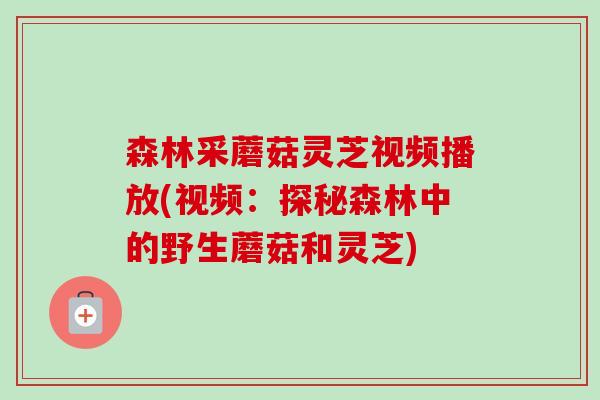 森林采蘑菇灵芝视频播放(视频:探秘森林中的野生蘑菇和灵芝)-第1张图片-卓越灵芝孢子粉 森林采蘑菇灵芝视频播放(视频:探秘森林中的野生蘑菇和灵芝)-第1张图片-卓越灵芝孢子粉