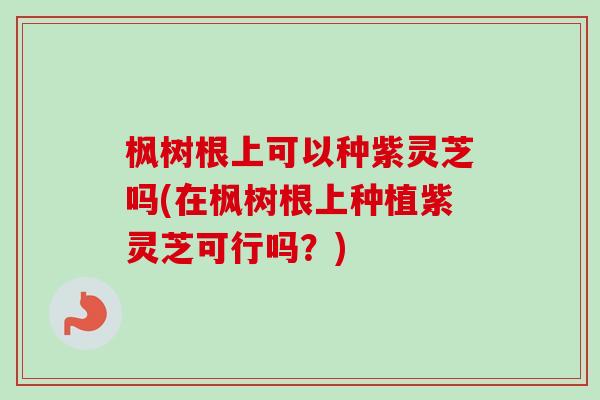 枫树根上可以种紫灵芝吗(在枫树根上种植紫灵芝可行吗？)-第1张图片-卓越灵芝孢子粉