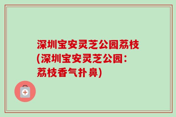深圳宝安灵芝公园荔枝(深圳宝安灵芝公园:荔枝香气扑鼻)-第1张图片-卓越灵芝孢子粉 深圳宝安灵芝公园荔枝(深圳宝安灵芝公园:荔枝香气扑鼻)-第1张图片-卓越灵芝孢子粉