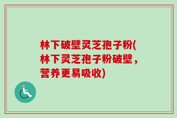 林下破壁灵芝孢子粉(林下灵芝孢子粉破壁,营养更易吸收)-第1张图片-卓越灵芝孢子粉 林下破壁灵芝孢子粉(林下灵芝孢子粉破壁,营养更易吸收)-第1张图片-卓越灵芝孢子粉