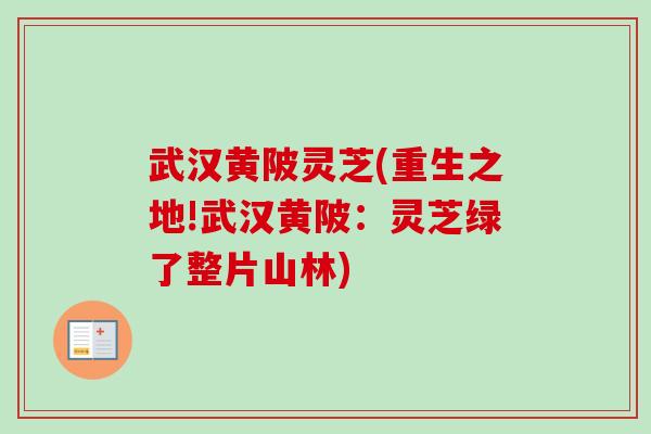 武汉黄陂灵芝(重生之地!武汉黄陂:灵芝绿了整片山林)-第1张图片-卓越灵芝孢子粉 武汉黄陂灵芝(重生之地!武汉黄陂:灵芝绿了整片山林)-第1张图片-卓越灵芝孢子粉